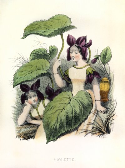 Alegorías , la Violette de Louis Simon (1810-1870) Lassalle