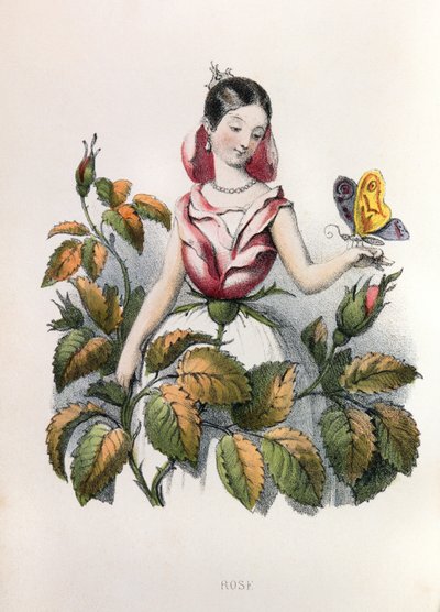 Alegorías, la rosa de Louis Simon (1810-1870) Lassalle