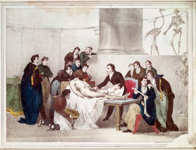 La lección de anatomía (litografía) de Louis Thomas Bardel