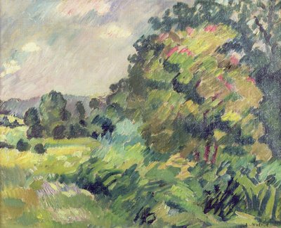 Paisaje de Normandía de Louis Valtat