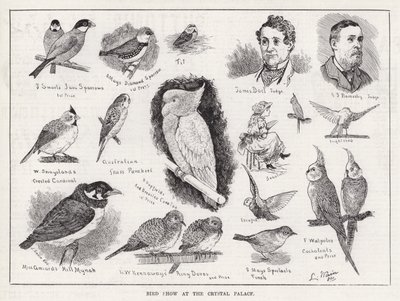Exposición de aves en el Palacio de Cristal de Louis Wain