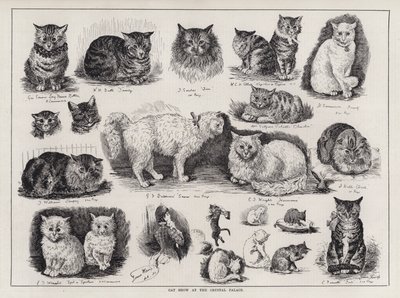Exposición de gatos en el Crystal Palace de Louis Wain