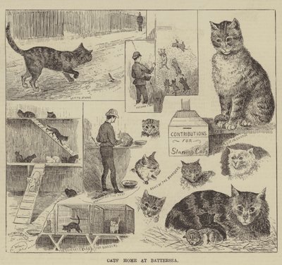 Hogar de gatos en Battersea de Louis Wain