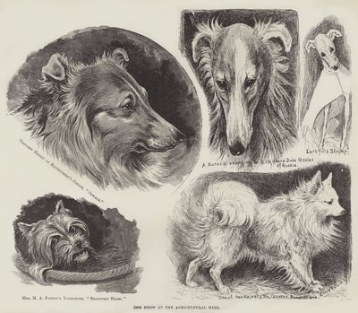 Exposición canina en el Agricultural Hall de Louis Wain