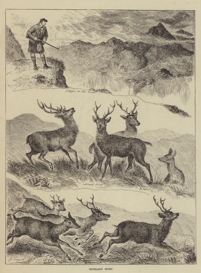 Deporte de las Tierras Altas de Louis Wain
