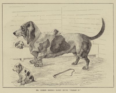 El Basset Hound Pallas II del Sr. George Krehl de Louis Wain