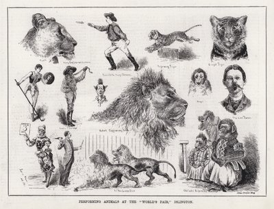 Animales actuando en la "Feria Mundial", Islington de Louis Wain