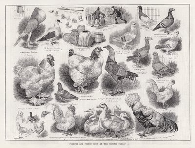 Exposición de Aves de Corral y Palomas en el Crystal Palace de Louis Wain