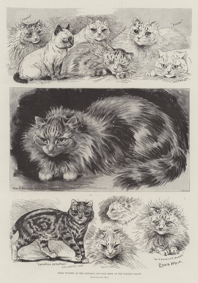Ganadores de premios en la Exposición Nacional de Gatos en el Crystal Palace de Louis Wain