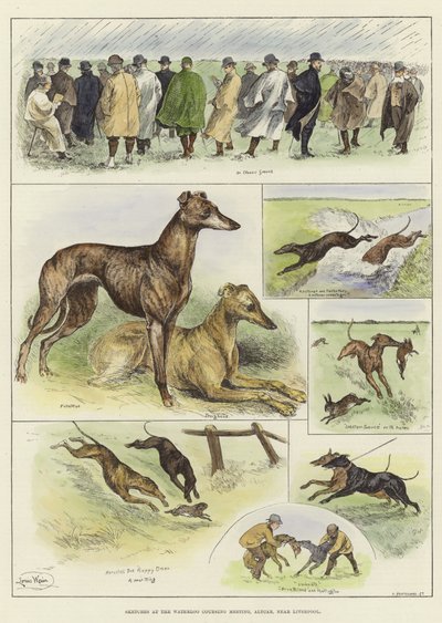Bocetos en la reunión de carreras de Waterloo de Louis Wain
