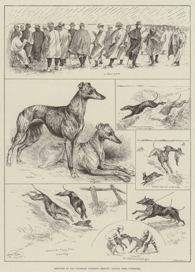 Bocetos en la reunión de carreras de Waterloo, Altcar, cerca de Liverpool (grabado) de Louis Wain