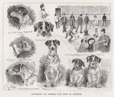 Exposición del Club de Fox Terrier de Southdown en Brighton de Louis Wain