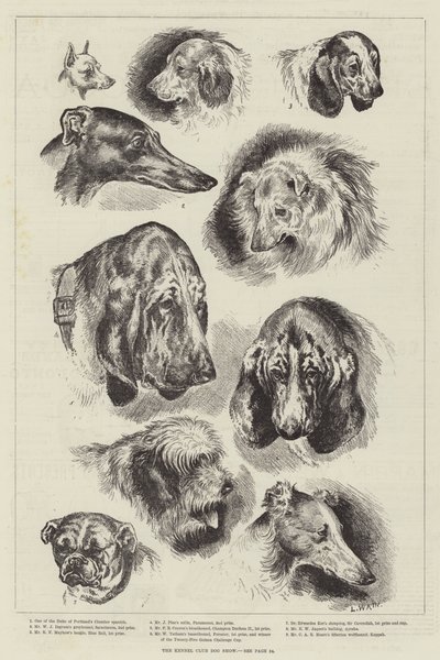 Exposición canina del Kennel Club de Louis Wain