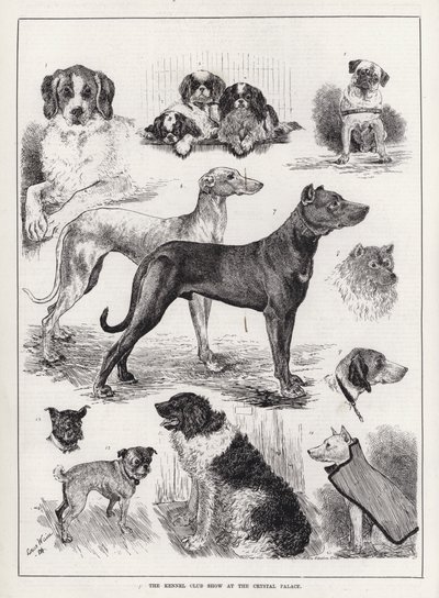 Exposición del Kennel Club en el Crystal Palace de Louis Wain