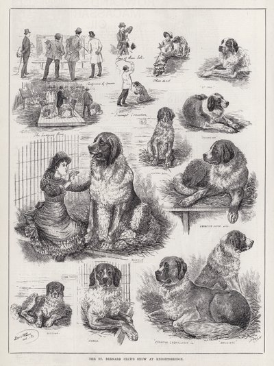 Exposición del Club de San Bernardo en Knightsbridge de Louis Wain