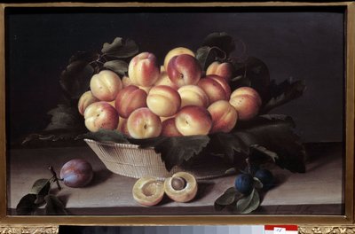 Naturaleza muerta con albaricoques. Cesta de albaricoques y ciruelas colocada al frente. Pintura de Louise Moillon de Louise Moillon