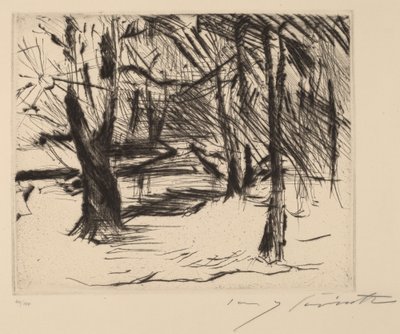 Árboles al sol de Lovis Corinth