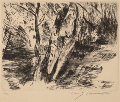 Troncos de abedul en el Tiergarten de Lovis Corinth