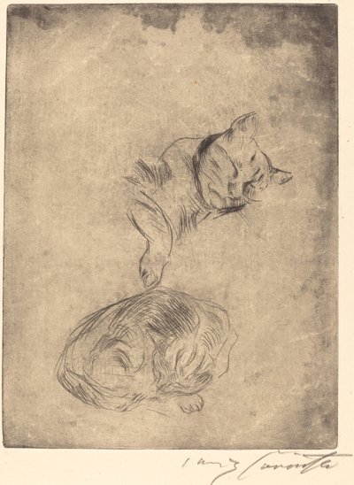 Katzenstudie Estudio de gatos, 1920 de Lovis Corinth
