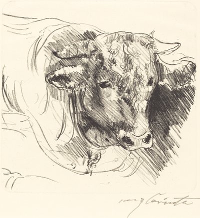 Cabeza de un toro, 1912 de Lovis Corinth