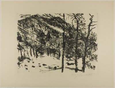El valle, de Primavera temprana en las montañas de Lovis Corinth