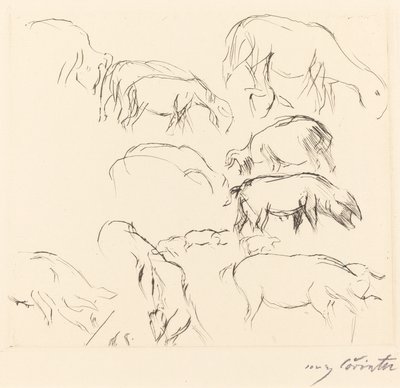 Verschiedene Tierstudien de Lovis Corinth