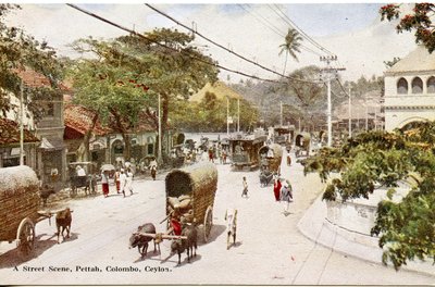 Escena de calle, Pettah, Colombo, Ceilán, c.1900-20 (fotografía coloreada a mano) de Ltd. Ceylon Plâté