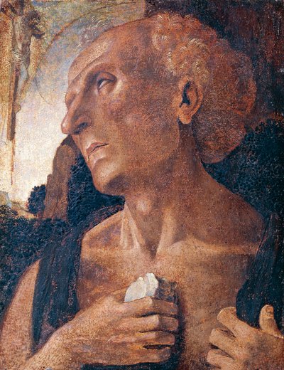 San Jerónimo, atribuido a Luca Signorelli (circa 1441 o 1450-1523) de Luca (attr.to) Signorelli