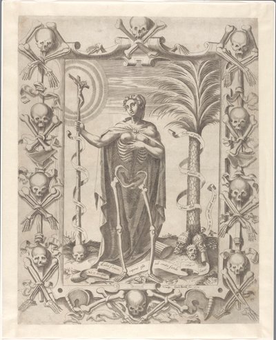 vanidad de Luca Bertelli