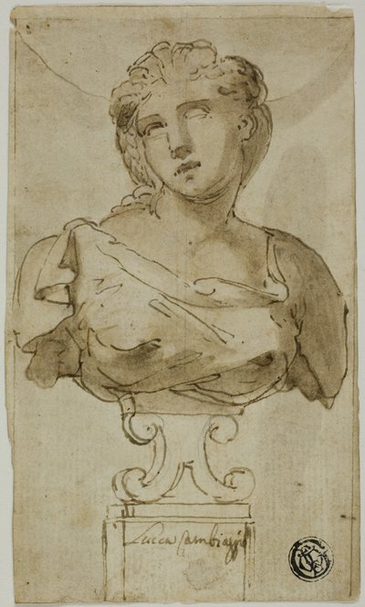 Busto de una mujer de Luca Cambiaso