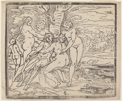 Muerte de Adonis de Luca Cambiaso