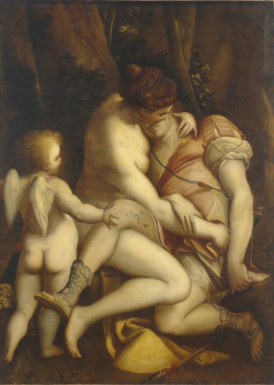 Venus y Adonis, 1565-1569 de Luca Cambiaso