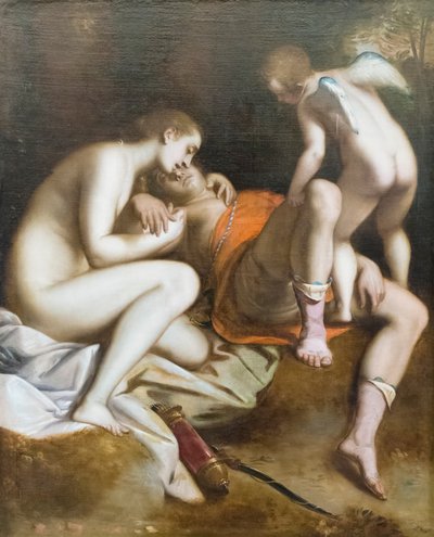 Venus llorando la muerte de Adonis de Luca Cambiaso