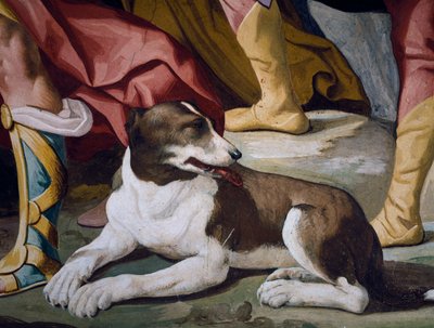 Perro (detalle) del fresco del ciclo de Historias de Antenor de Luca Ferrari
