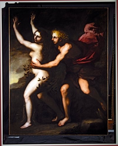Apolo y Dafne (óleo sobre lienzo) de Luca Giordano