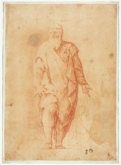 Hombre barbudo de pie de Luca Giordano