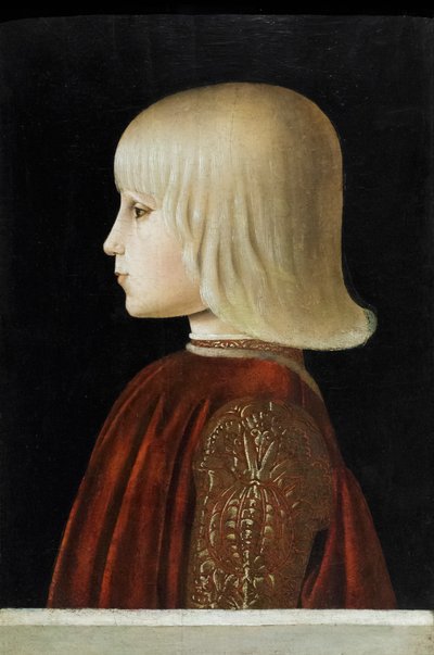 Retrato de un joven (¿Guidubaldo da Montefeltro), c.1478 (temple sobre tabla) de Luca Signorelli