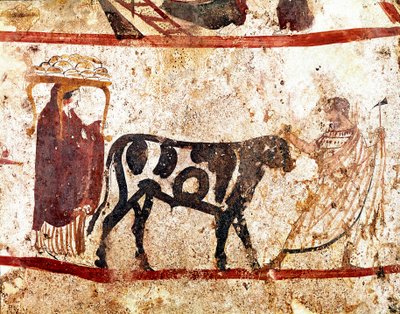 Un toro llevado al altar del sacrificio. Fresco lucano del siglo IV a.C., de la necrópolis de Andriuolo en Paestum, Italia. Museo arqueológico nacional, Paestum de Lucanian School