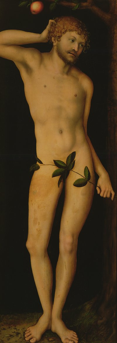 Adán, 1528 de Lucas Cranach the Elder