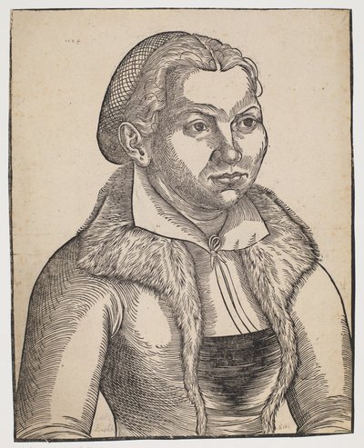 Catalina von Bora de Lucas Cranach d.Æ.
