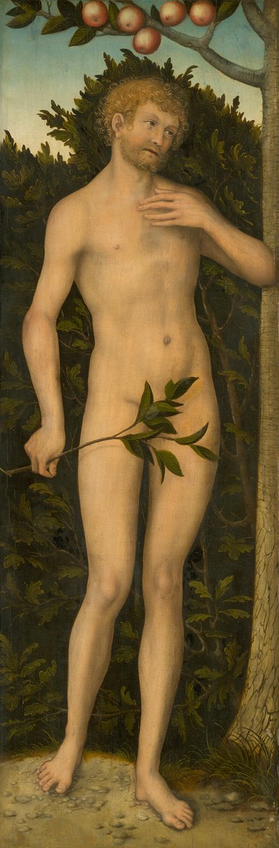 Adam de Lucas Cranach the Elder