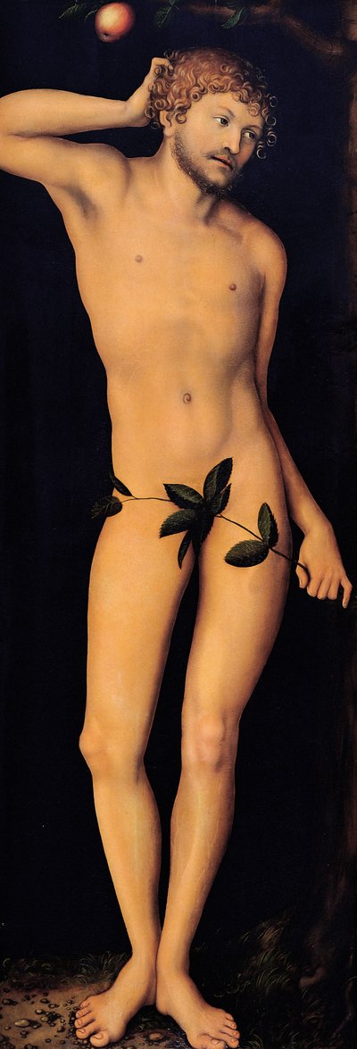 Adán de Lucas Cranach the Elder
