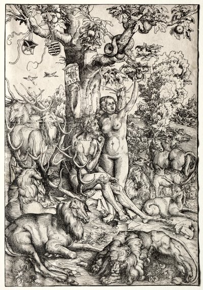 Adán y Eva en el Paraíso, 1509 de Lucas Cranach the Elder