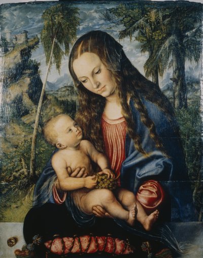 Madonna bajo el árbol de abeto, c.1510 de Lucas Cranach the Elder