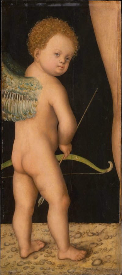 Amor de Lucas the Elder Cranach