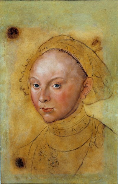 Retrato de Catalina de Brunswick Grubenhagen de Lucas the Elder Cranach