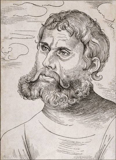 Retrato de Martín Lutero como 