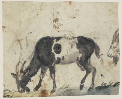 Estudio de cabras (verso), c.1520-30 (pincel con aguada negra, gris, verde y tiza negra ) de Lucas the Elder Cranach