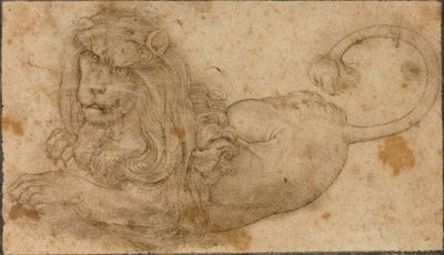 Estudio de un león de Lucas the Elder Cranach
