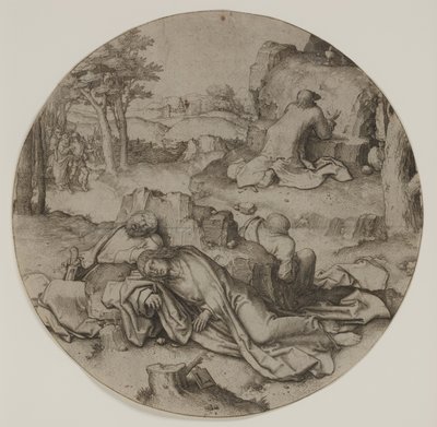 Agonía en el jardín de Lucas van Leyden